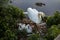 White swan mother and her swans in the nest. Wild nature birds