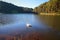 White swan at Pang Ung, Mae Hong Son province, Thailand