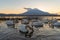 White swan with reflection of Fuji Mountain at lake Yamanaka at