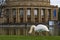 White swan in Stuttgart, Staatsoper Stuttgart on the background