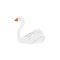 White swan swimming in lake isolated on white background.  Pond goose bird vector illustration in cartoon flat style.  Cute duck