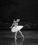 The white swan in the water-ballet Swan Lake