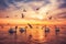 White swans swimming in the sea water and flying seagulls in the sky ,sunrise shot