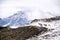 White Swiss mountain sheep, Zermatt, Switzerland