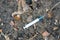 A white syringe lies on the ground top view.