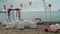 White table chairs floral decorations on beach.