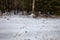 White-tailed deer tracks going in and out of private wooded land with posted no hunting or trespassing sign