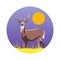 White-Tailed Deer Vector Illustration Badge