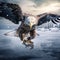 White-tailed Eagle with catch fish in snowy winter snow in forest habitat landing on ice. Action wildlife winter scene from