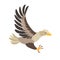 White-tailed eagle icon vector illustration. Cartoon style