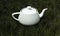 White teapot