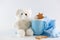 White Teddy bear, blue mug and cookies on white background