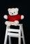 White Teddy Bear on Ladder