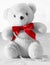 White Teddy Bear with Pearls