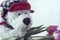 A white Teddy bear in a red hat with crimson tulips.