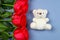 White teddy bear surrounded by pink roses on a grey table. Template for March 8, Mother\'s Day, Valentine\'s Day.