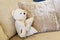 White teddy bear on white couch with light pillow and. Teddy bear playful on white sofa in living room.