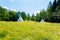 White teepee indian tent standing in beautiful summer landscape.