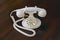 White telephone