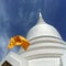 white temple and flag