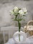 White Tender handmade plaster vase. Modern home decoration