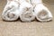 White terry towel rolled on linen burlap sacking background. Spa, sauna, healthy lifestyle concept