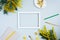 White text frame copy space in a frame of spring mimosa, notepad, pen, watercolors in cuvettes on a blue background. Workplace of