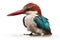 White-throated Kingfisher, Halcyon cristatus, in front of white background generative AI animal ai