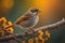White-throated Sparrow perched on a branch with yellow flowers in the background. generative ai
