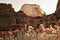 White Throne Red Rock Walls Zion Canyon Utah