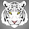 White Tiger Face Digital Painting- PNG Raster Design