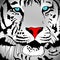 White Tiger Portrait