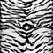 White tiger seamless pattern design, background