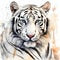 White tiger on splashed in brown paint white background, watercolor illustration.