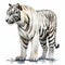 White tiger on splashed paint white background, watercolor illustration.