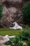 White tiger in zoo