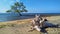 White timber on sand with green mangrove tree amidst the seawater, Timor-Leste