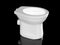 White toilet bowl