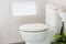 White toilet in modern home, white toilet bowl in cleaning room, flushing liquid in toilet, private toilet in modern room