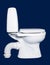 White toilet sanitary isolated