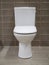 White toilet seat