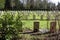 White tombstones lined up in the sun. Commonwealth Cemetery of Honor in Cologne South Cemetery. War graves from World War II