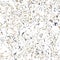 White tonal marbled seamless texture. Irregular pale ink blotch paint effect background. Marble tone on tone minimal