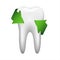 White tooth with two green arrow, stomatology icon