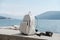 White tourist backpack and camera on the background of the sea o