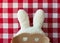 White toweling bunny ears with a carboard mask. Red square tablecloth in the background