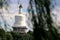 The white tower hide behind tree as background in Beihai Park in Beijing