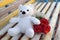 White toy bear and a bouquet of red roses on a bench covered with hoarfrost