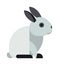 White toy bunny rabbit sitting cute animal cartoon vector