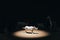 White toy rhinoceros under spotlight with animals at background